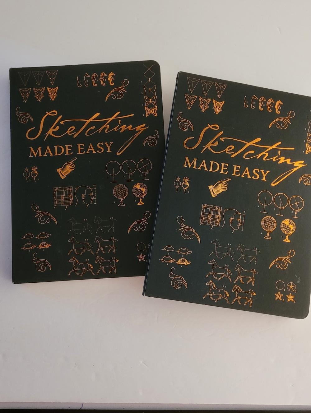 Piccadilly Sketching Made Easy Book Learn To Draw Guided Sketchbook Lot 2 Books